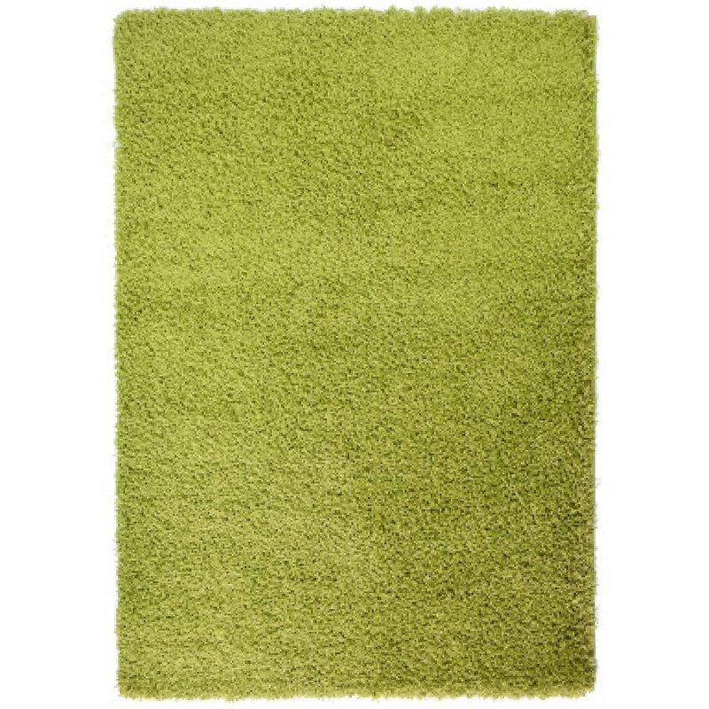 17 Stories Annielee California Shaggy Green Rug & Reviews Wayfair.co.uk